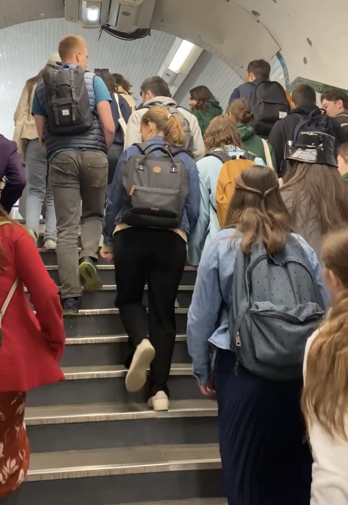 Etudiants vétérinaires à paris