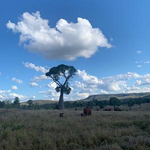 Australie