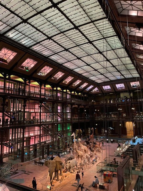 Musée National d'Histoire Naturelle - vétérinaire