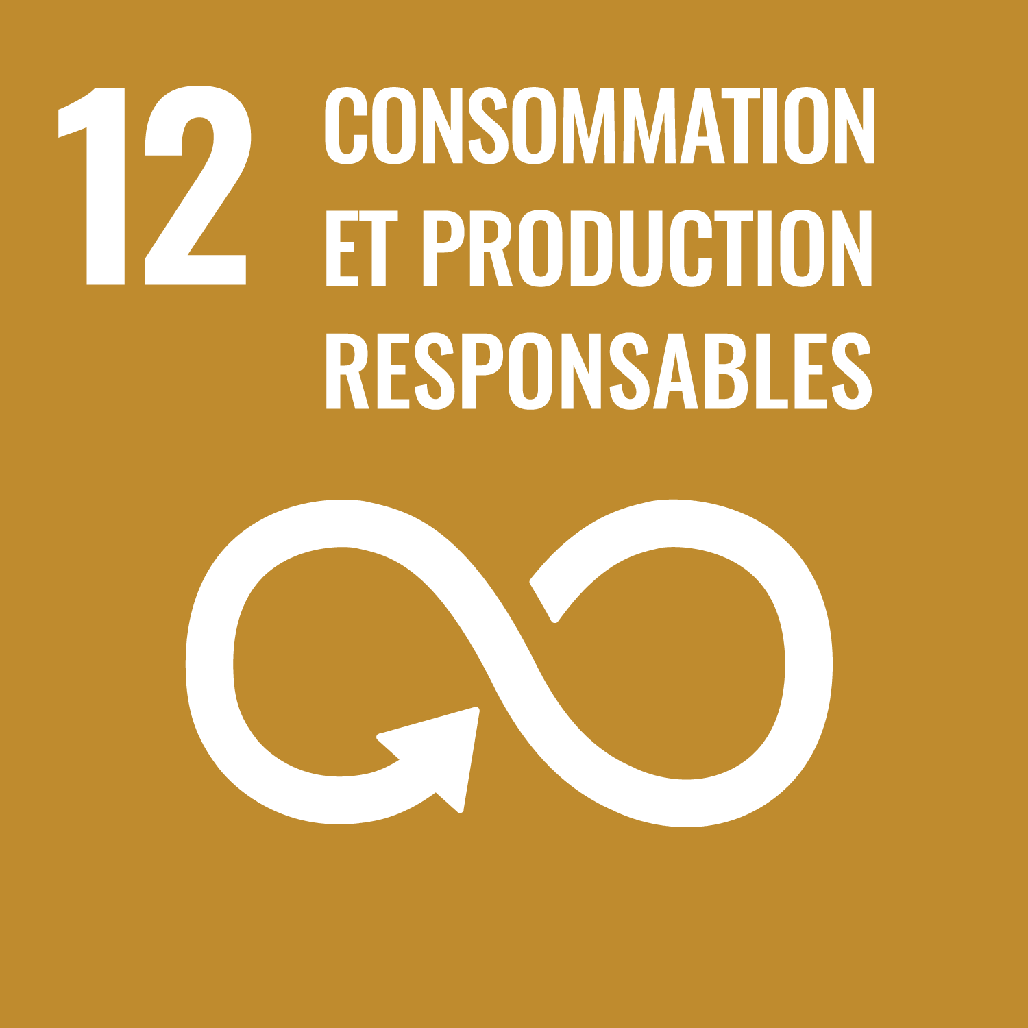 Objectif développement durable 12