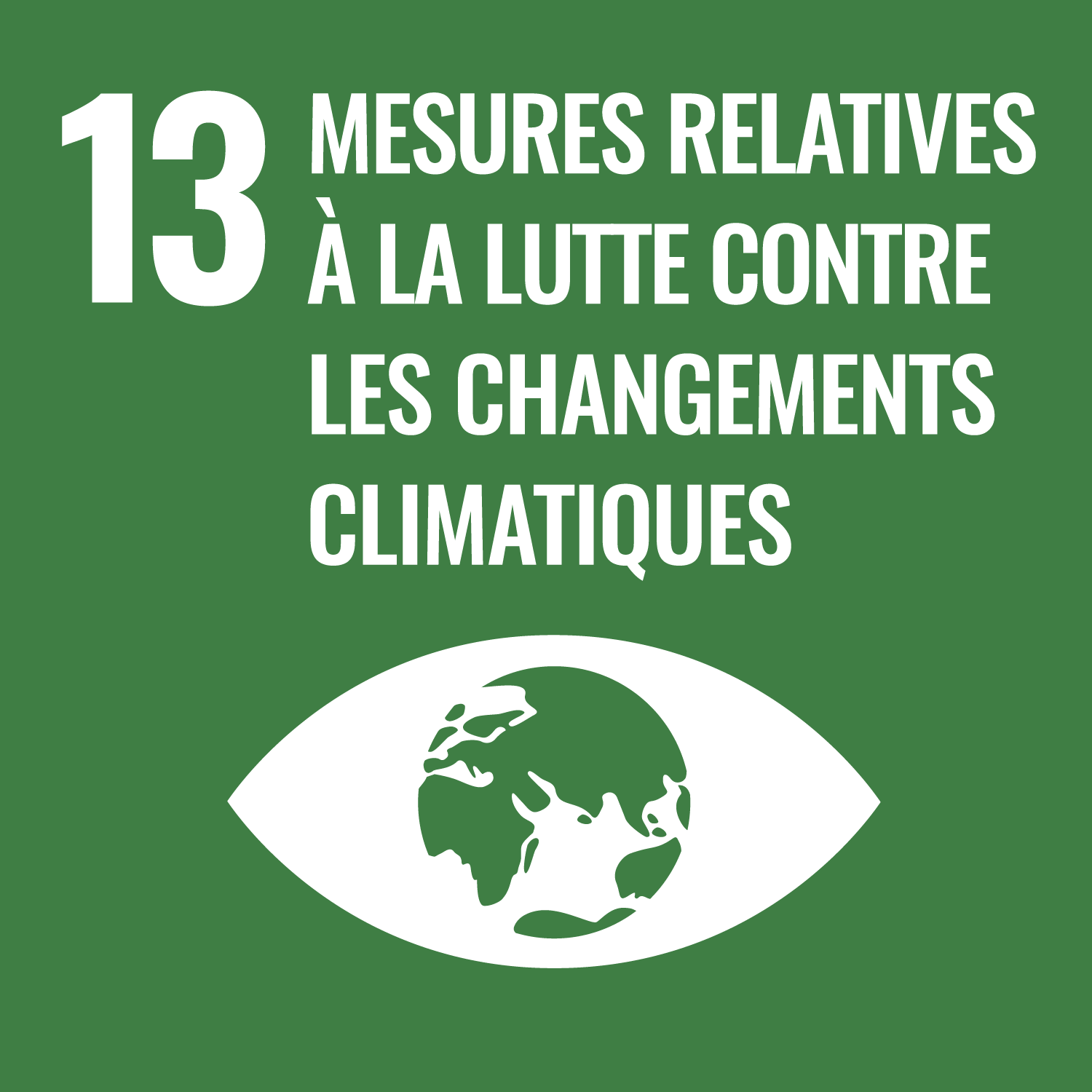Objectif développement durable 13