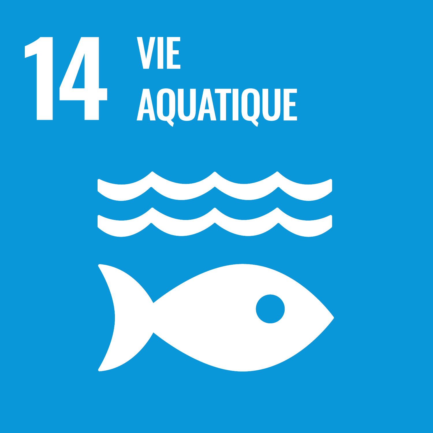odd 14 préservation de la faune aquatique