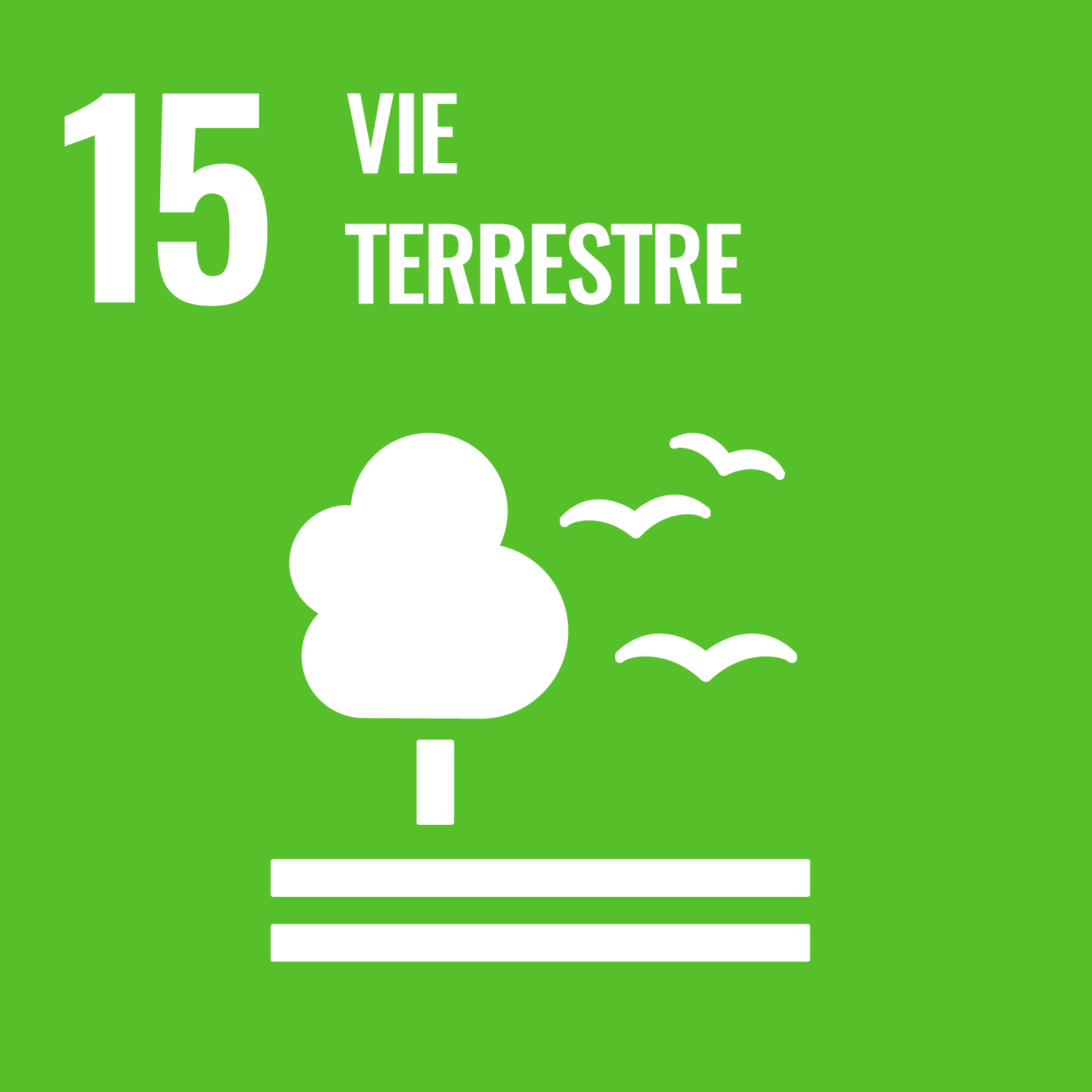 ODD 15 : Préserver et restaurer les écosystèmes terrestres