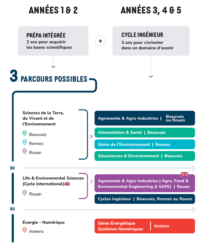 schéma présentant la structuration entre prépas intégrées et cycles ingénieurs à UniLaSalle. Dans le détail : Généralités : Années 1 et 2 : Prépa intégrée – 2 ans pour acquérir les bases scientifiques Années 3, 4 et 5 : Cycle ingénieur – 3 ans pour s’orienter dans un domaine d’avenir 3 parcours possibles : Prépa intégrée Sciences de la Terre, du vivant et de l’environnement (campus de Beauvais, Rennes et Rouen). Donne accès aux cycles ingénieurs suivants : Agronomie et Agro-industries (campus de Beauvais et Rouen), Alimentation et Santé (campus de Beauvais), Génie de l’environnement (campus de Rennes), Géosciences et environnement (campus de Beauvais) Ou Prépa intégrée en anglais Life and Environmental sciences (campus de Rouen). Donne accès au cycle ingénieur Agronomie et Agro-industries – Agro, Food and Environmental sciences (campus de Rouen), mais aussi à tous les cycles ingénieurs proposés sur les campus de Beauvais, Rennes et Rouen. Ou Prépa intégrée Énergie – Numérique (campus d’Amiens). Donne accès au cycle ingénieur Génie énergétique et systèmes numériques (campus d’Amiens)