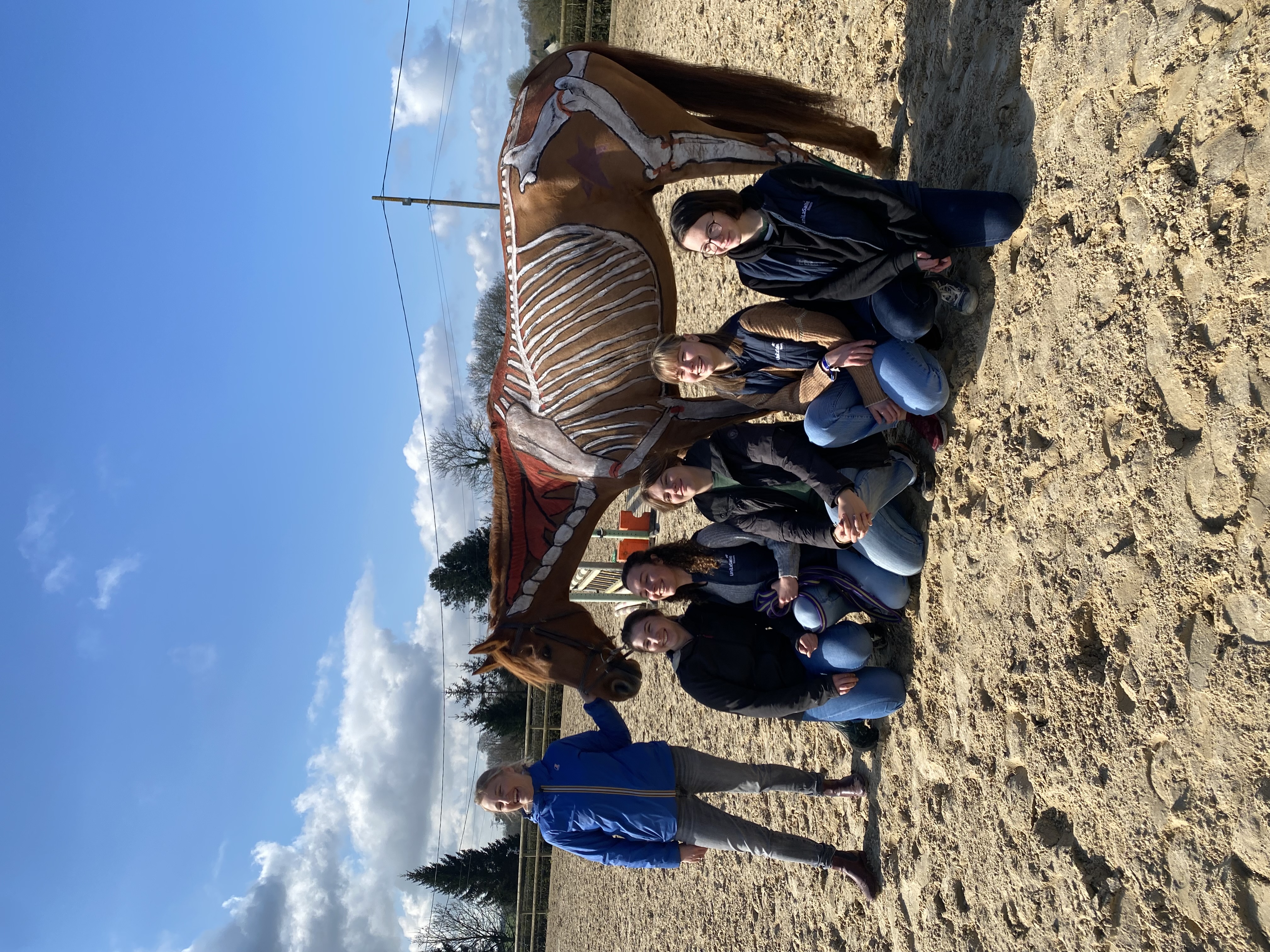 horse painting