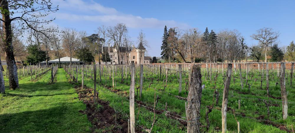 MasterClasse Chinon 2023