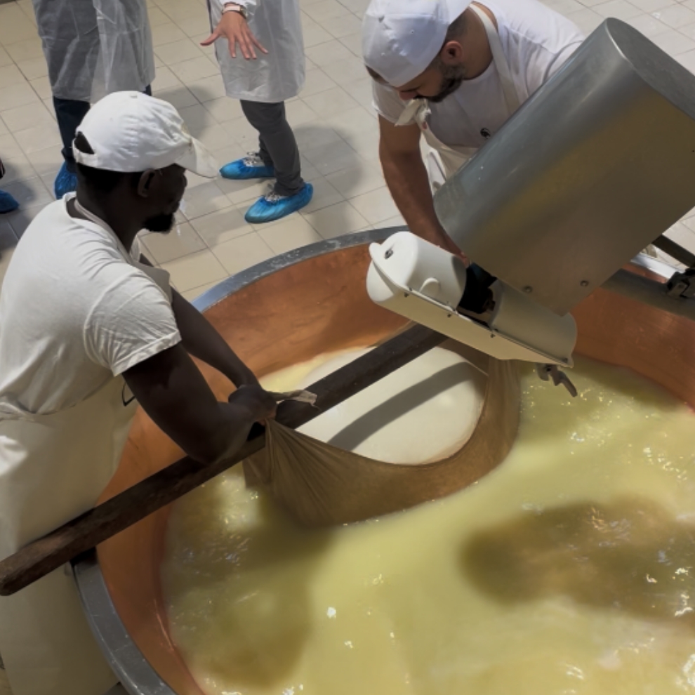Italie - Usine à fromage
