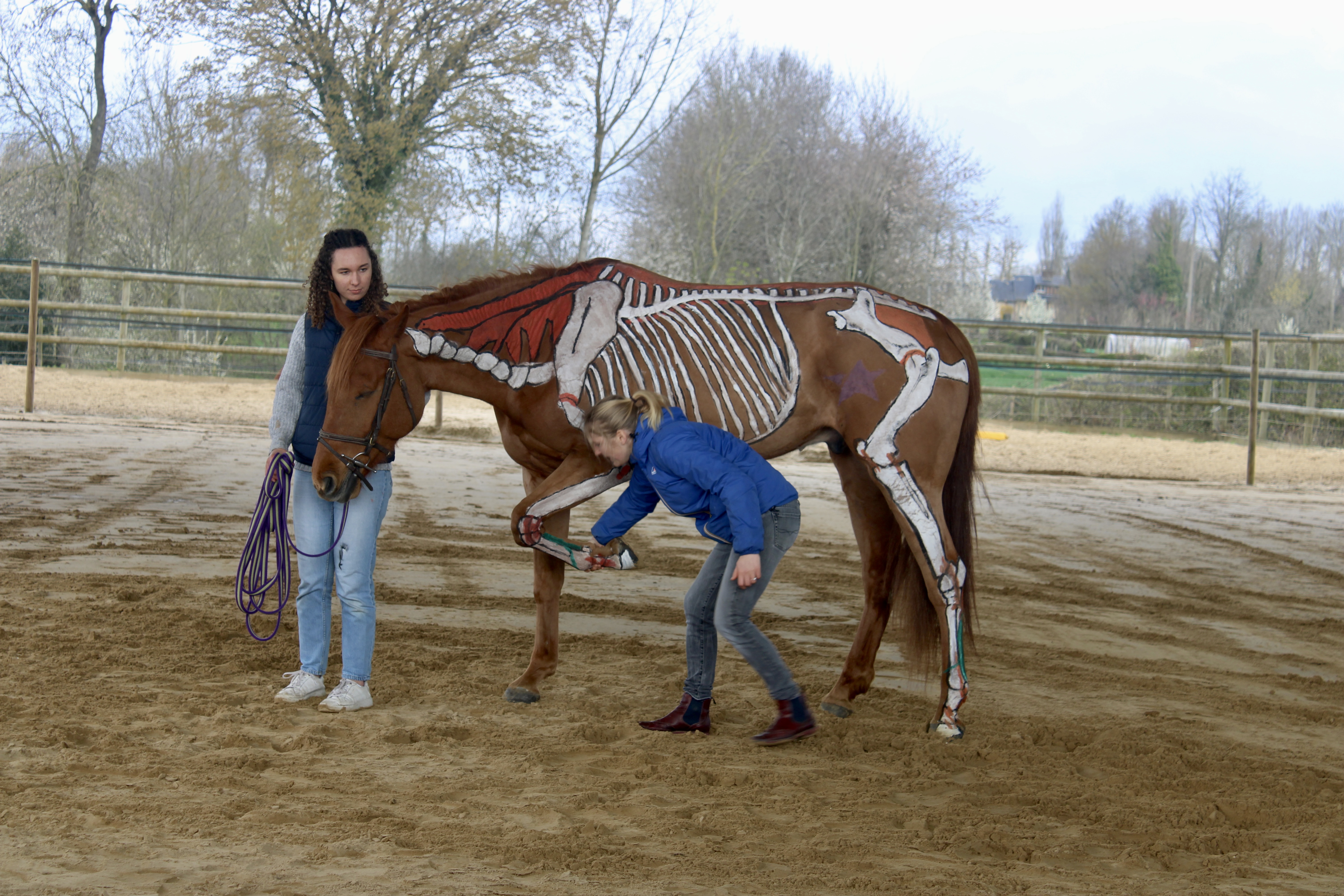 horse painting 