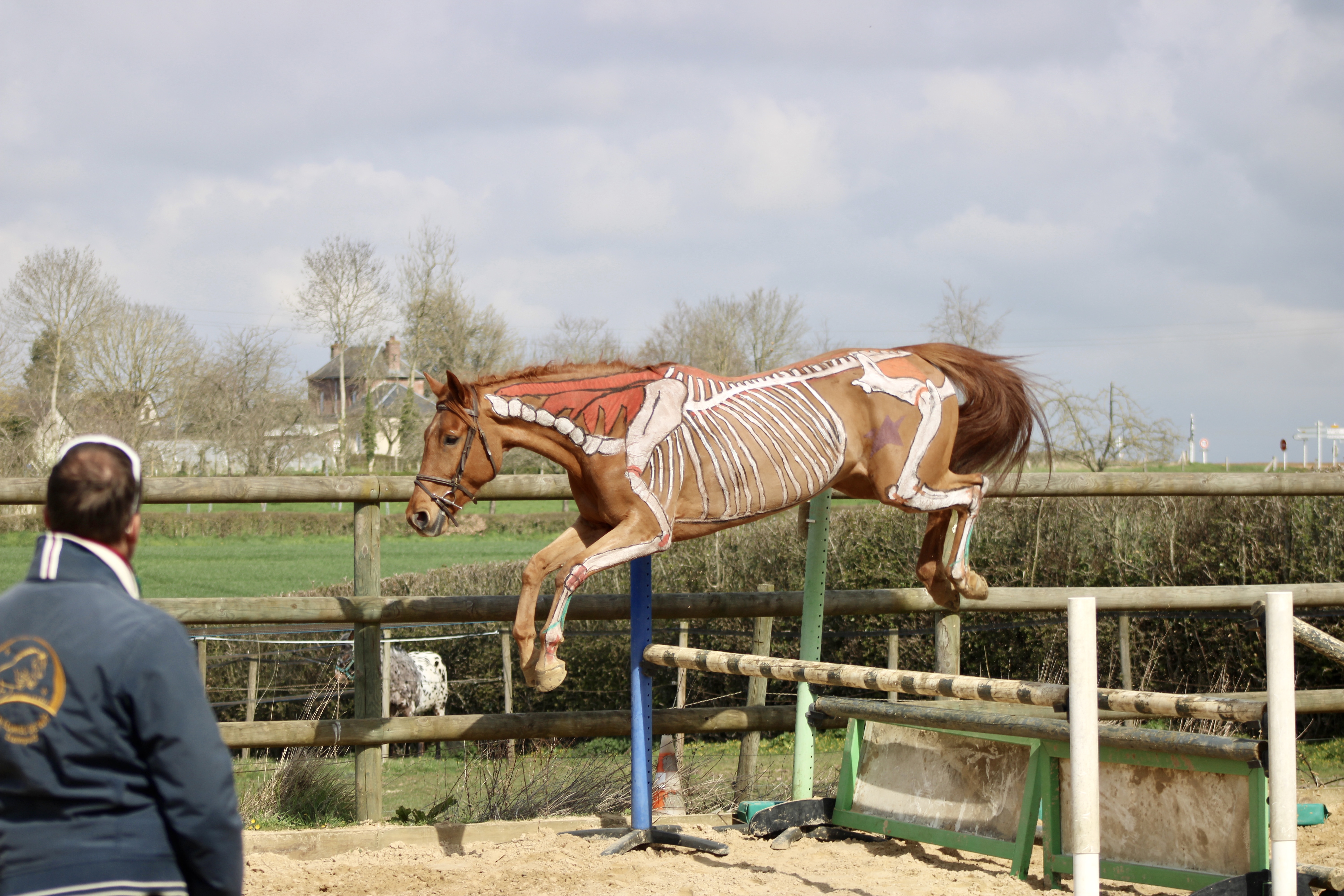 horse painting