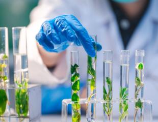 Ingénieur Biotechnologies