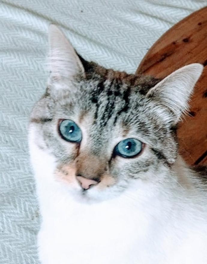 miii