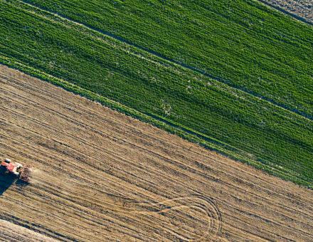 Combiner agroécologie et bioéconomie pour répondre aux enjeux sociétaux de l’agriculture