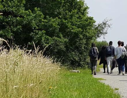 Bachelor environnement développement durable obtient le grade de licence