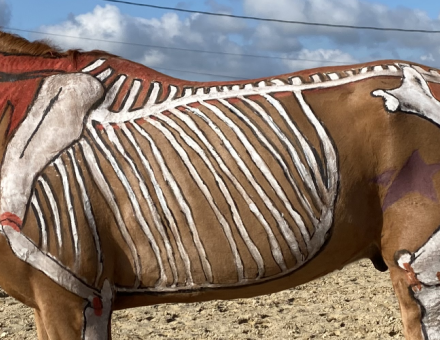 horse painting