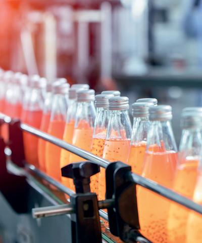 Les Bio-industries de demain : numériques et performantes