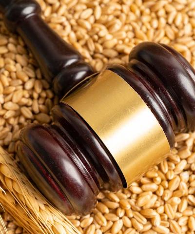 parcours International trade for ag and food