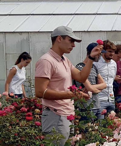 Plant breeding course