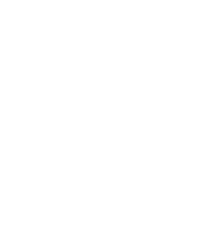 fleur de lin
